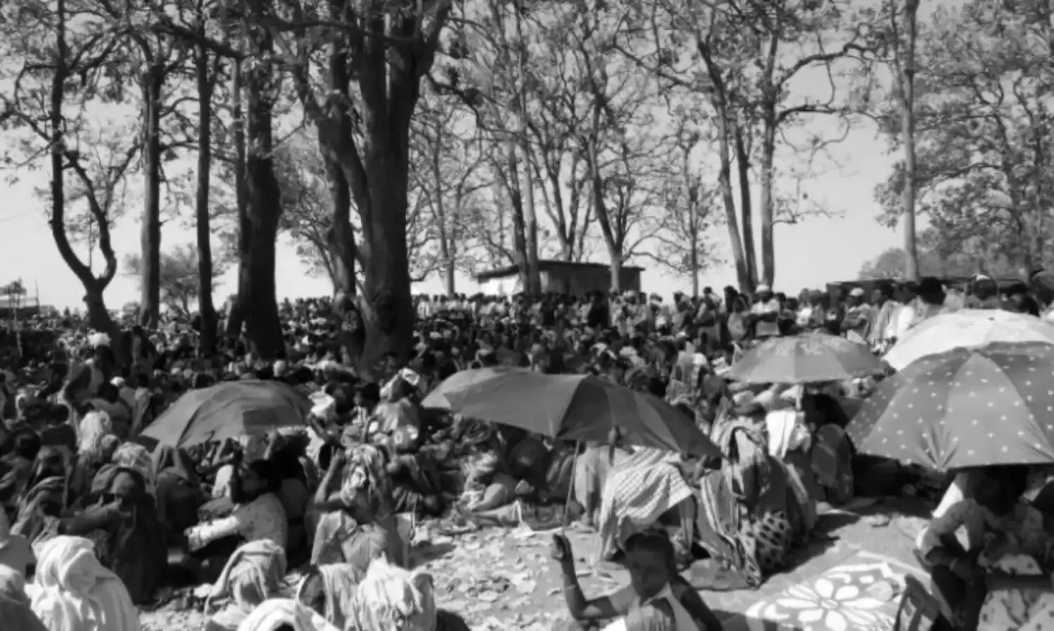 The Netarhat Firing Range Protest The Netarhat Firing Range Protest