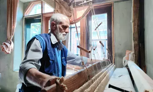 Kani Shawls are Art, History and Culture Wrapped as One