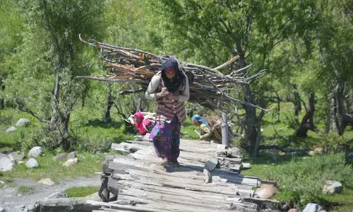 As the Guns Fell Silent, Sport Fuelled New Hope