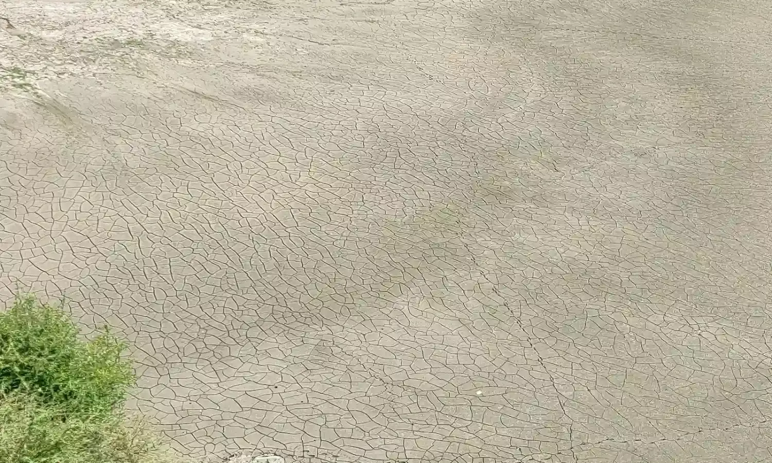 Fields Dry Up in Kashmir after Low Snowfall, Poor Rain Fields Dry Up in Kashmir after Low Snowfall, Poor Rain