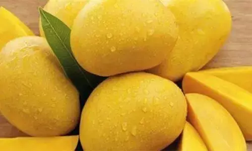 A Scorching Summer, In More Ways Than One