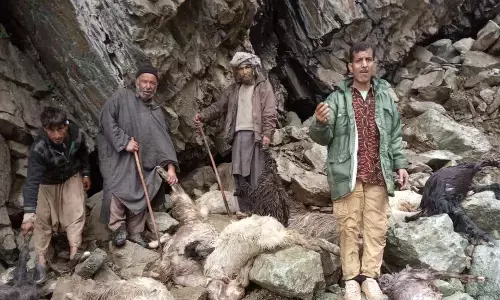 The Dark Side of Snow Capped Mountains The Dark Side of Snow Capped Mountains