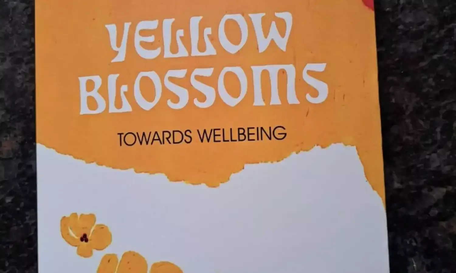 A Manual on New Beginnings