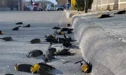 Global Warming Unfolds