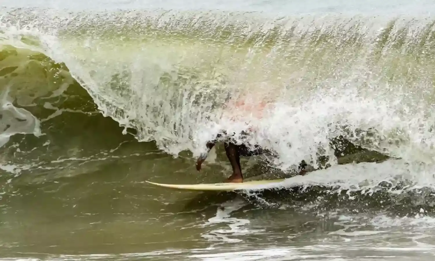 In Wait for the Perfect Wave In Wait for the Perfect Wave