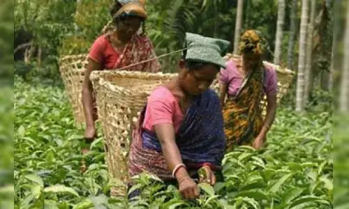 Human Workers Live in Dire Straits, No Protection, No Rights