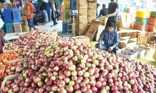 Protests in Himachal Pradeshs Apple Bowl Can Jam Political Futures