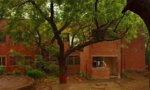 Pandemic, Post-Graduation & Pedagogy