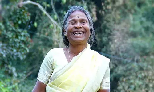 Nanjiamma, A Celebrity Overnight