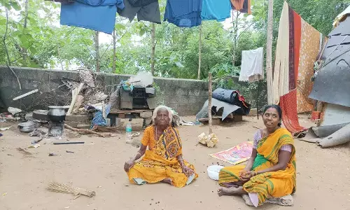 They Will Get Used to It : Being Irula in Chennai