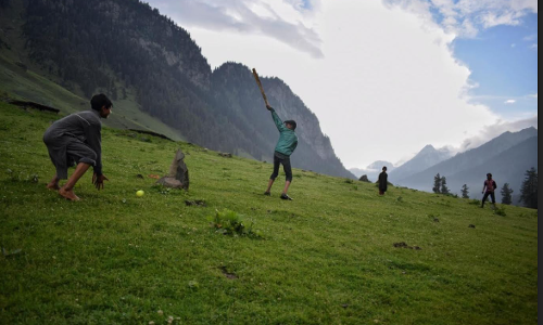 A Cricket Mafia is Going On in the Valley