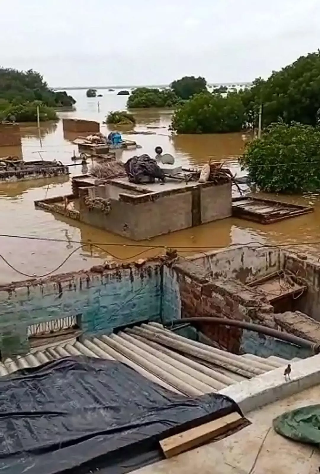 MP Village Residents Struggle to Cope with Floods