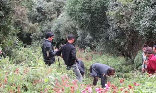 Meghalaya Villagers Raise Their Own Forest to Counter Climate Change