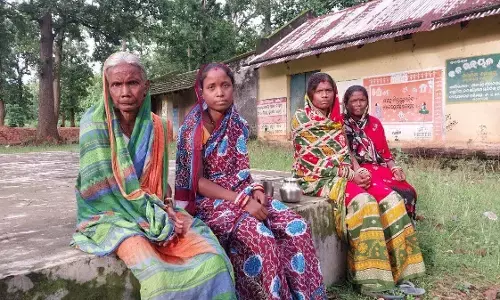 Daughters Of The Forest
