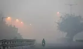 Anti-pollution Plans Go Up In Smoke