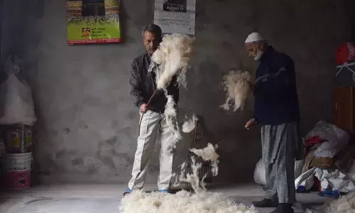 From Down Under, to Heaven on Earth