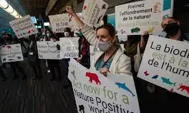 Humanity Has Become a Weapon of Mass Extinction