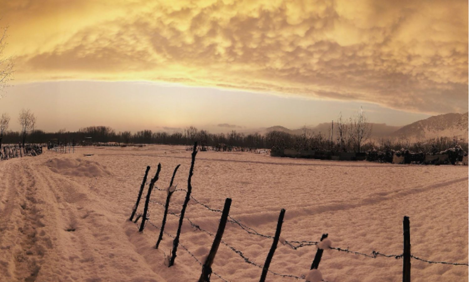 Winter Despatch From Kashmir
