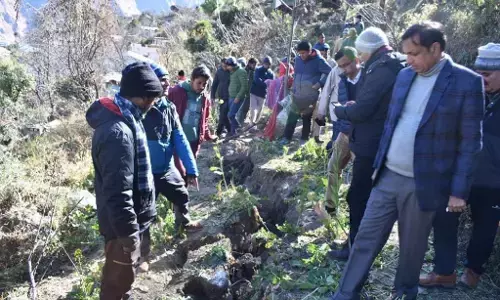 Hacking The Environment