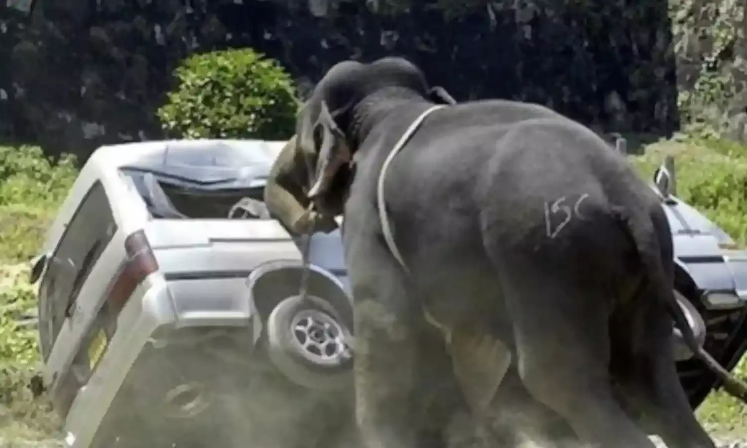 Animal-Human Conflict Needs Urgent Attention