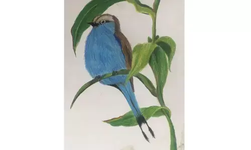 ‘In a Silent Place while Painting’