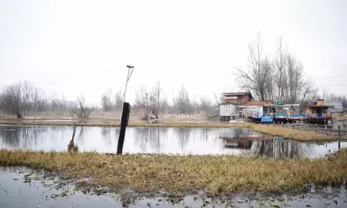 A Resort For Birds in Kashmir