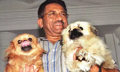 3 Meetings With Musharraf