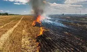 A Burning Issue Ignored?