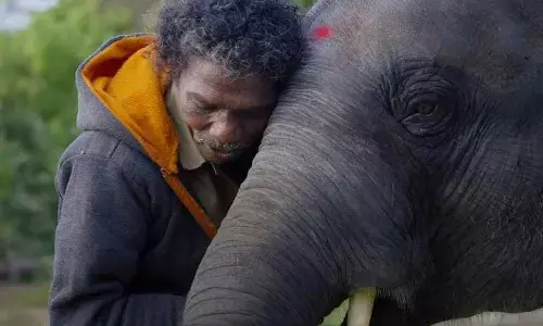 The Elephant Whisperers States The Raw Truth