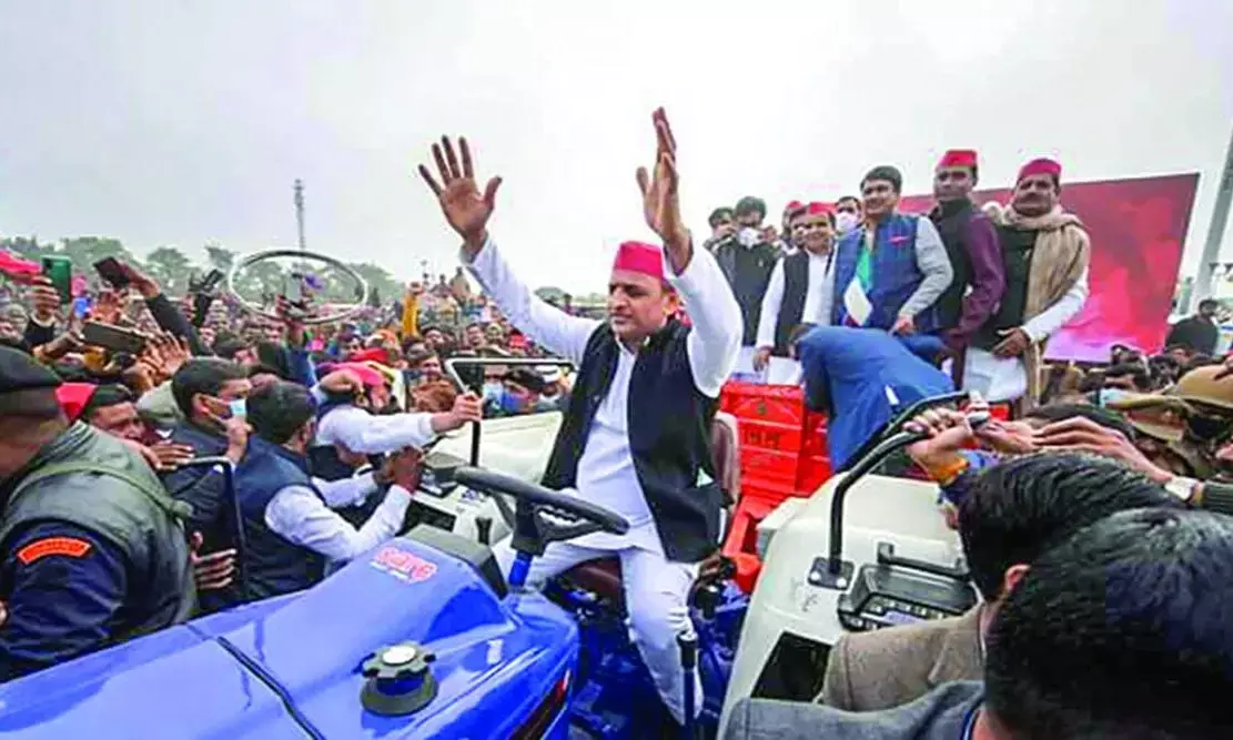 Potato’s Political Power