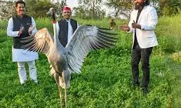 Love Is Eternal, Not Seasonal