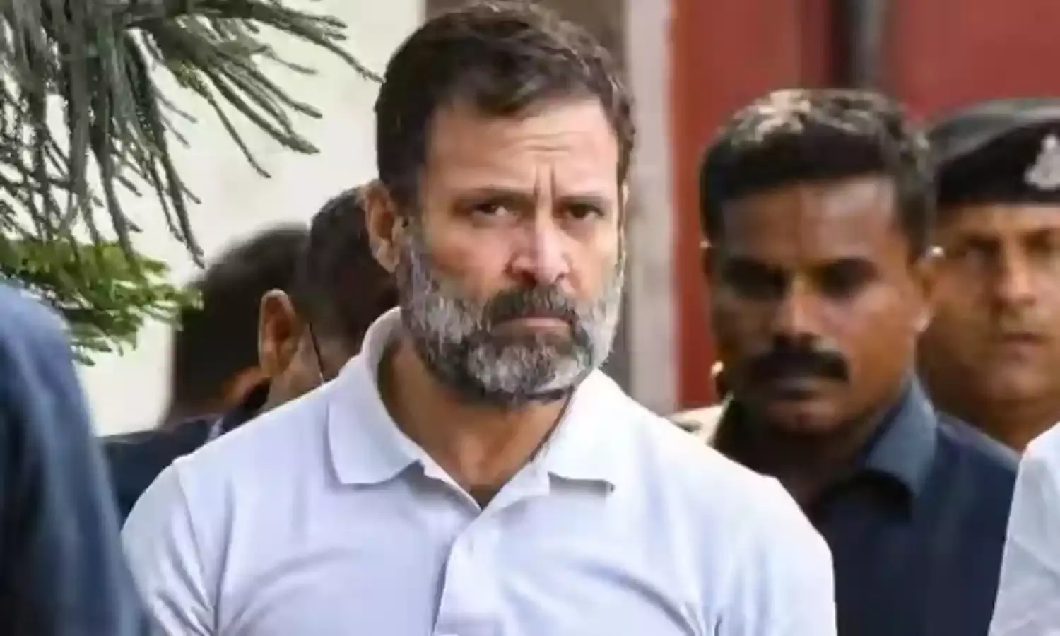 Rahul Gandhi Disqualification Unites Congress and the Opposition Rahul Gandhi Disqualification Unites Congress and the Opposition