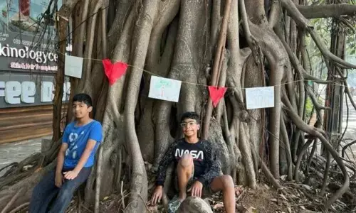 A View From Sankey Road