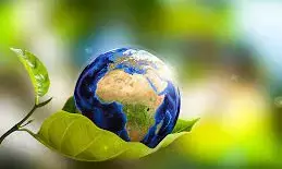 Humanity’s Bad Investment