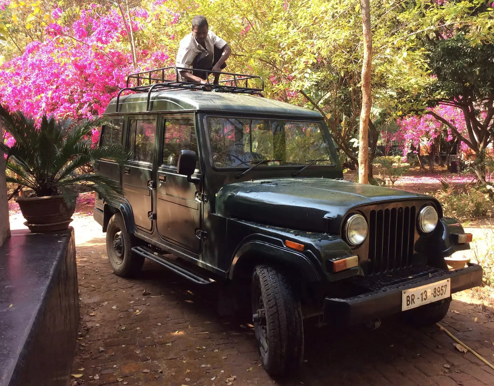 A Death in Gunj, A Year Later