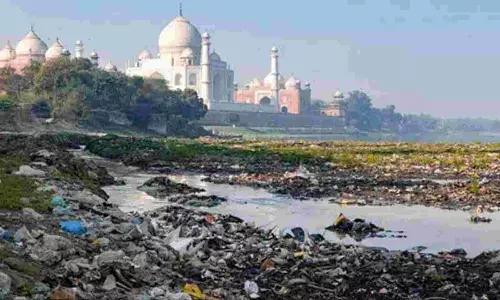 Who Will Clean The Yamuna?
