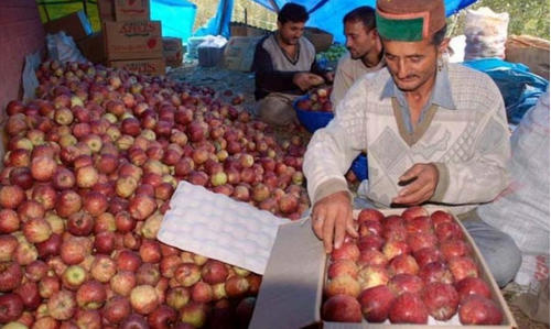 Rumblings Mark Indias Agro Turf Ahead of Polls