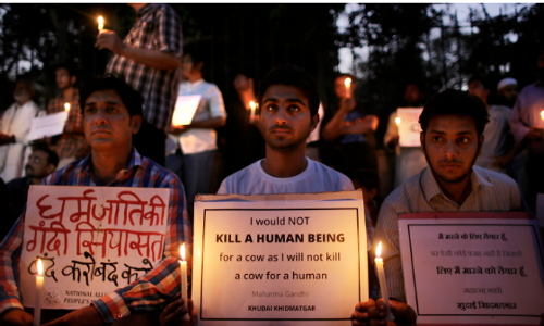 Cow ‘Protectors’ Or (Hu)Man Hunters?