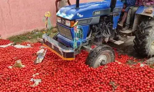 Farm Sector On A Rough Road