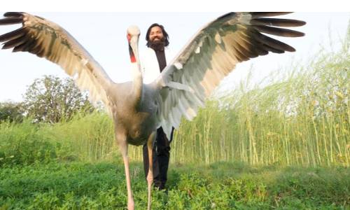 Arif Khan Has A New Love