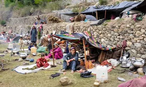 Why Has Development Not Reached The Van Raji Tribe?