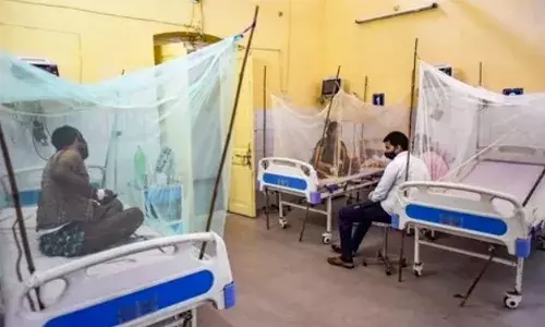 Increase In Dengue And Viral Cases Across India