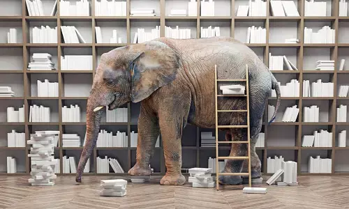 The Elephant In The Room