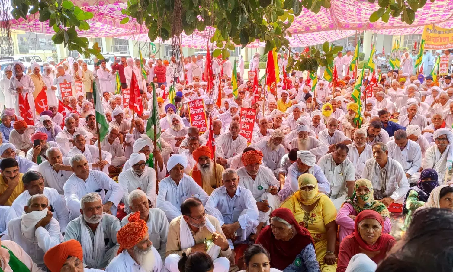 Farmers Navigate Divisiveness, Bat for Free Speech