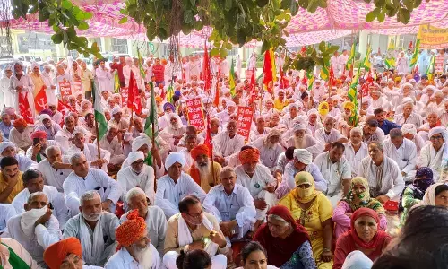 Farmers Navigate Divisiveness, Bat for Free Speech