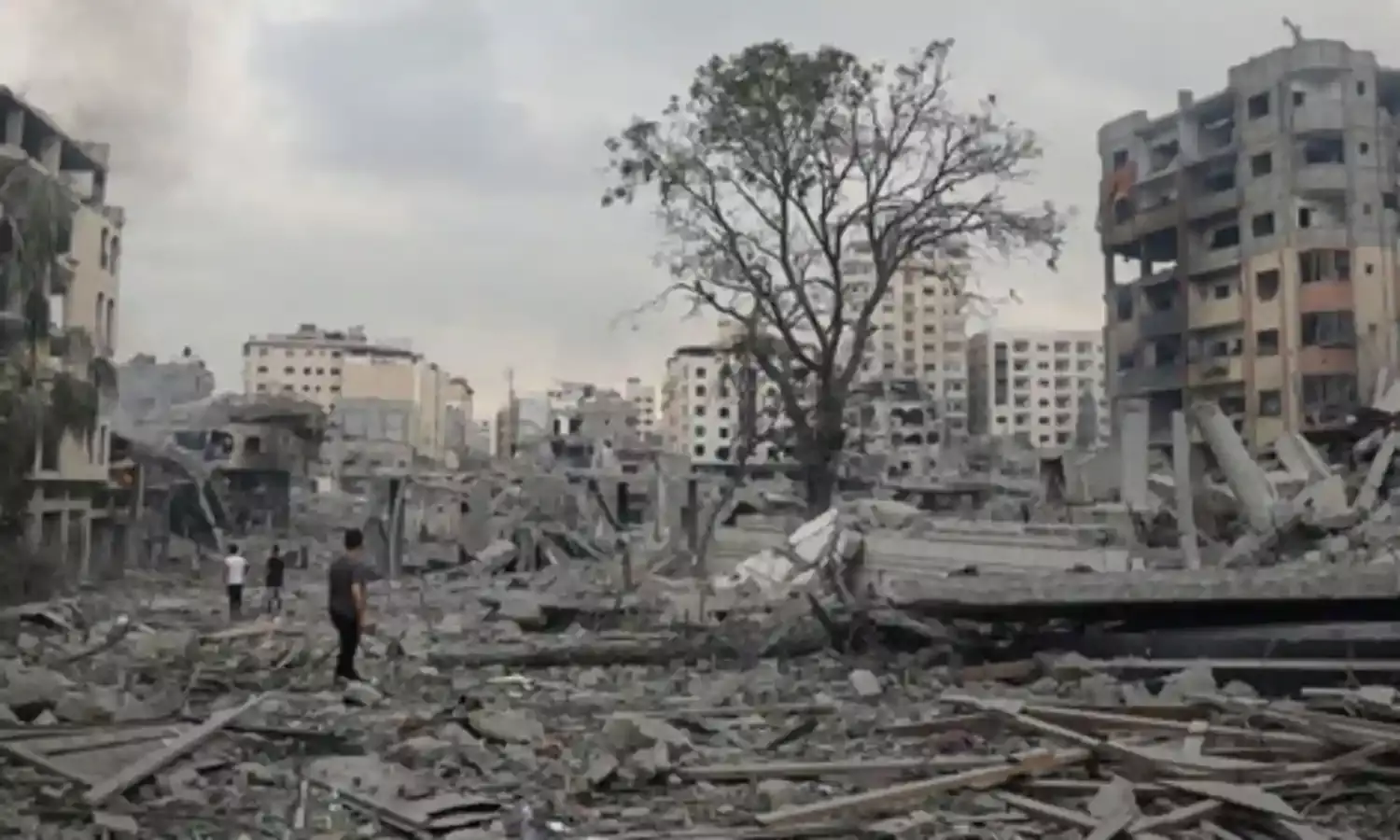 The Palestinian People Subjected to 56 Years of Suffocating Occupation