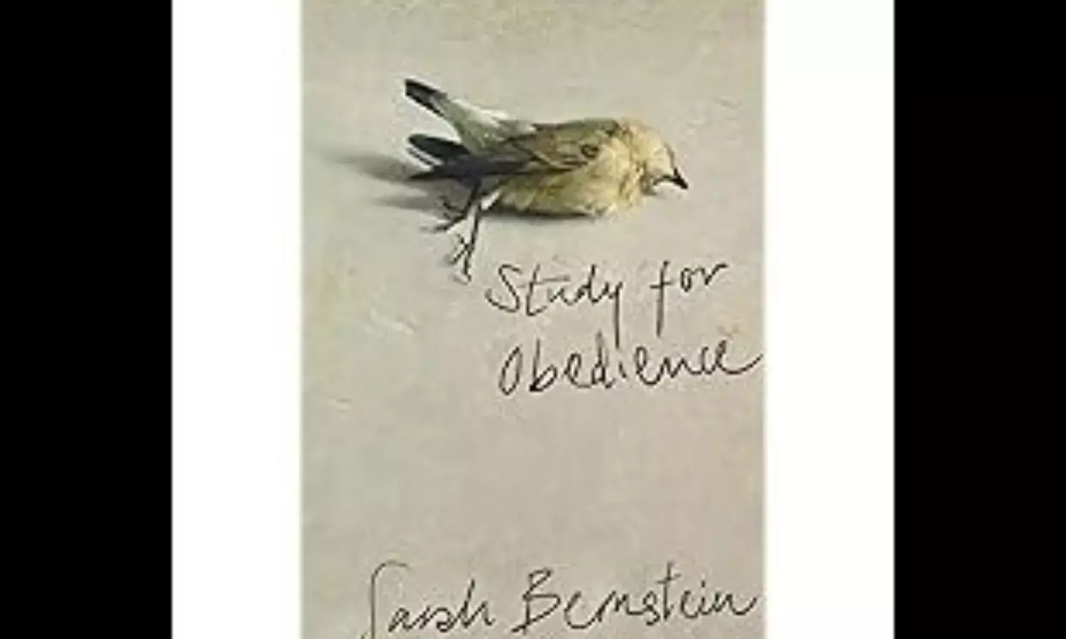 Trespass with Disobedience