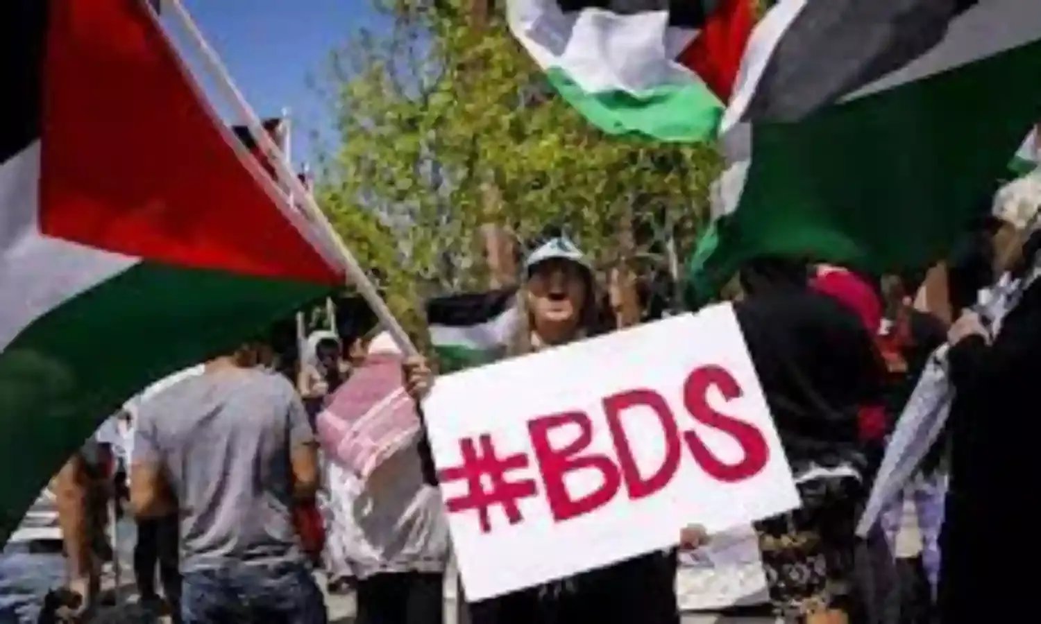 Solidarity For Palestine Has Impacted The World