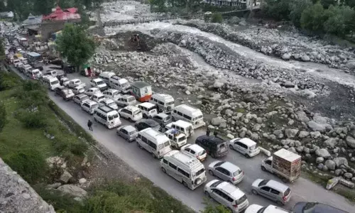 Tourists On The Hills - Traffic Snarls, Litter, Noise