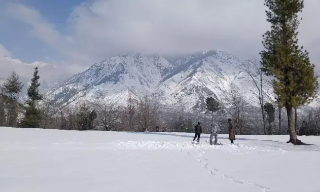 Snow Cricket in Kashmir Snow Cricket in Kashmir